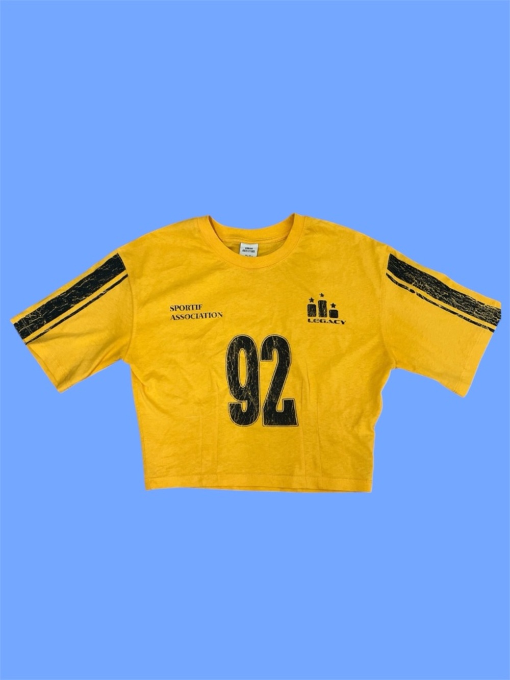Urban Outfitters Legacy Crop Tee